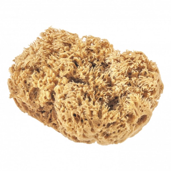 Губка натуральная для декоративных покрытий Matrix 86817